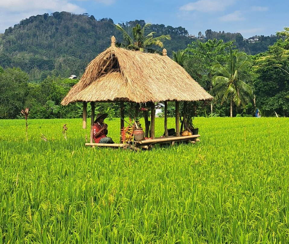 Khrisna Homestay主图