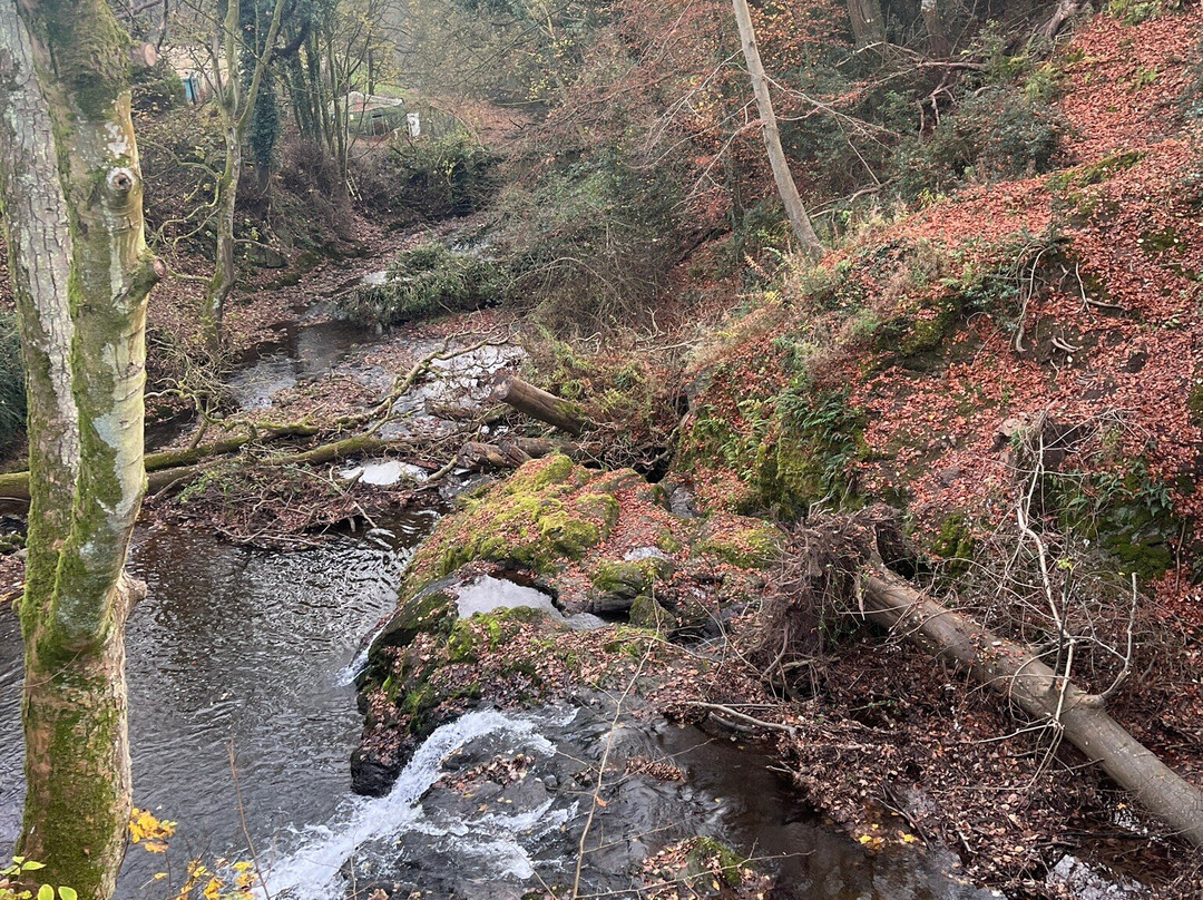 Arbirlot Waterfalls-Arbroath必去景点