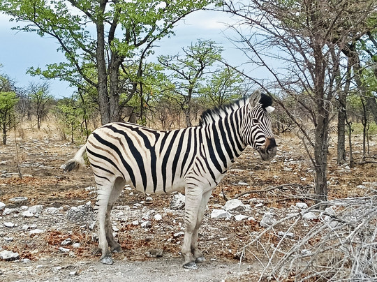 Goldwing Tourism-温德和克必去景点