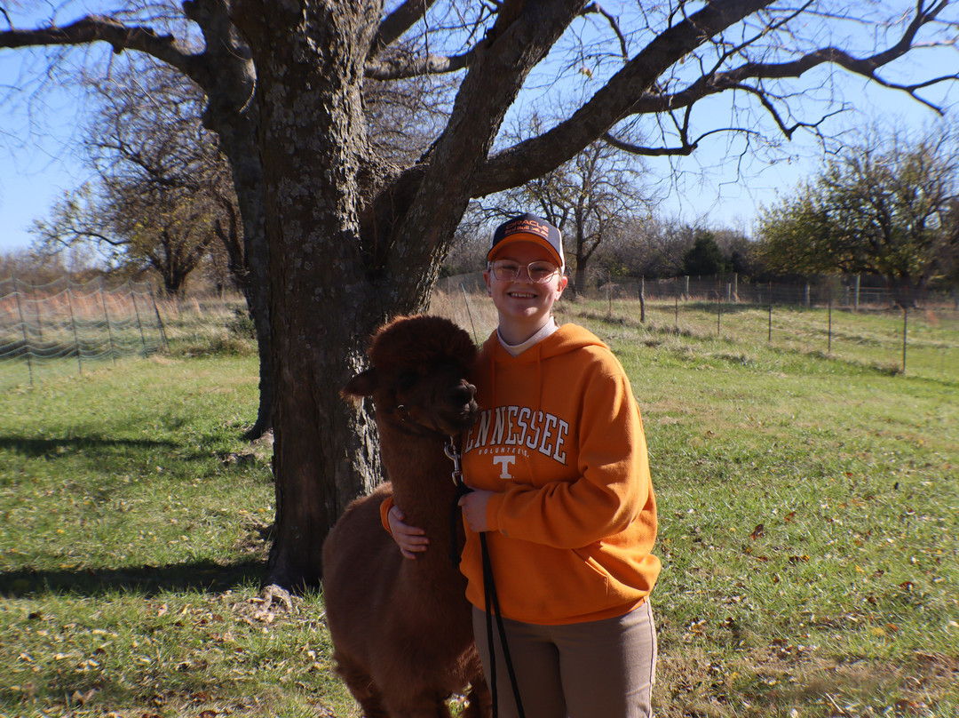 Manna Meadows Alpacas-Bonner Springs必去景点