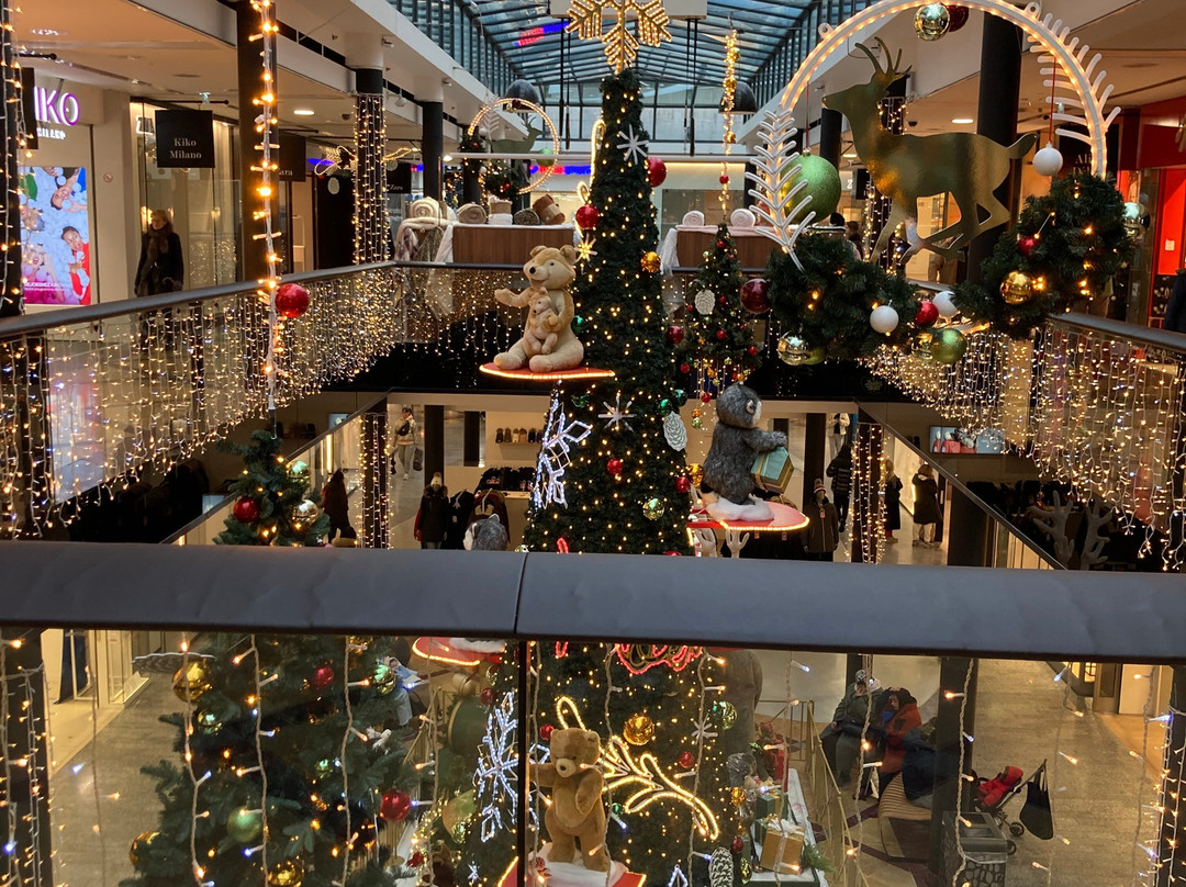 Centre Commercial Les Passages景点图片