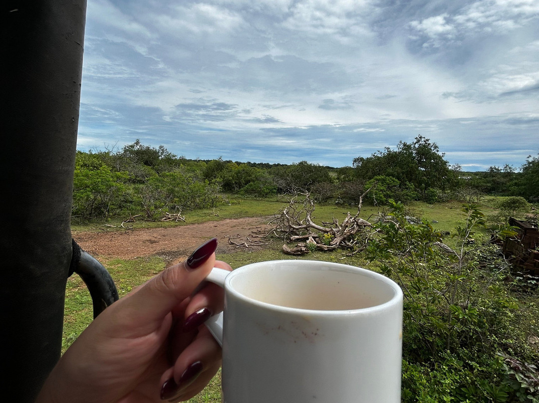 Ceylon Leopard Safari Yala-蒂瑟默哈拉默必去景点