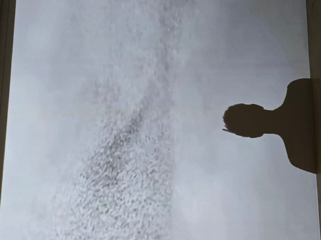 San Jose Museum of Art-圣何塞必去景点