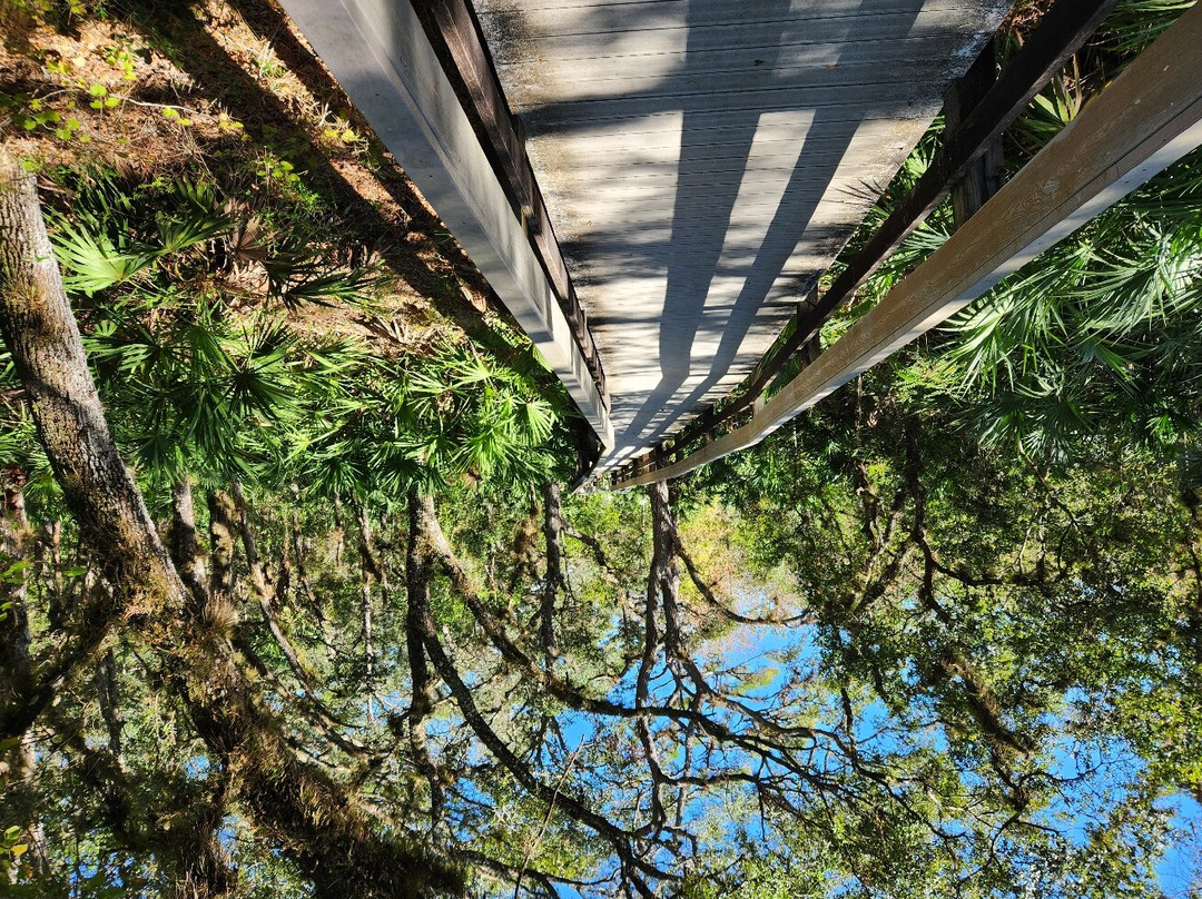 Brevard County Erna Nixon Park景点图片