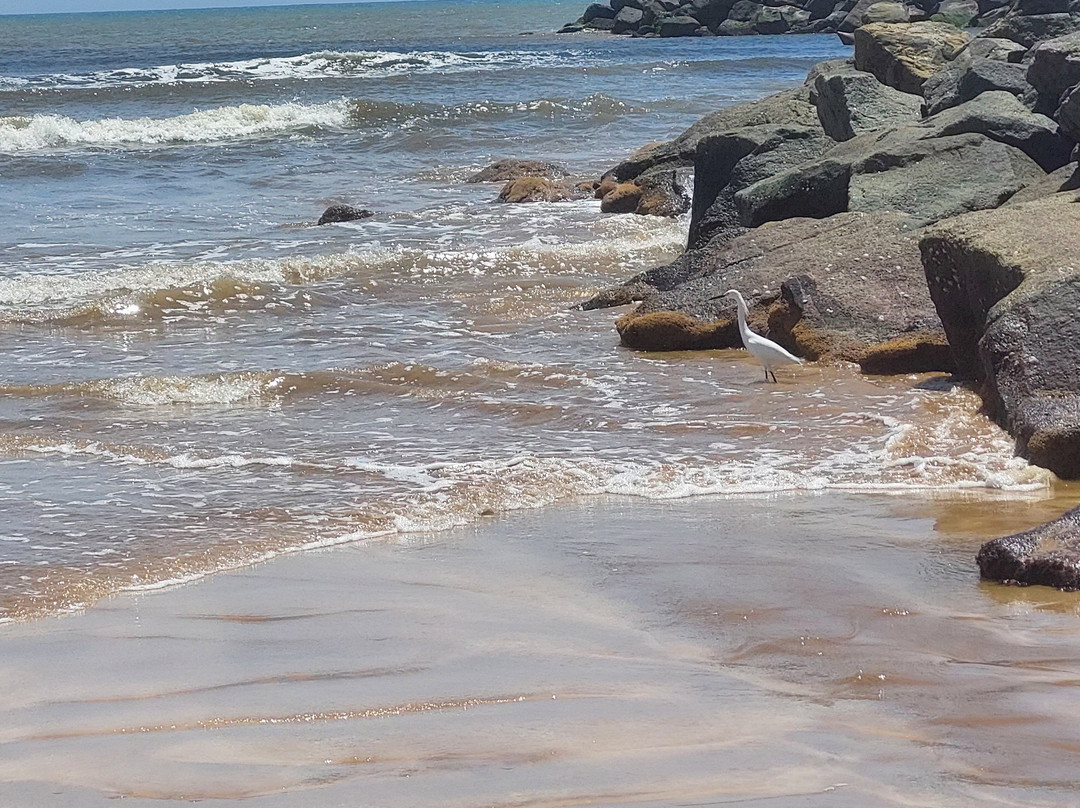 Praia de Jacaraipe景点图片