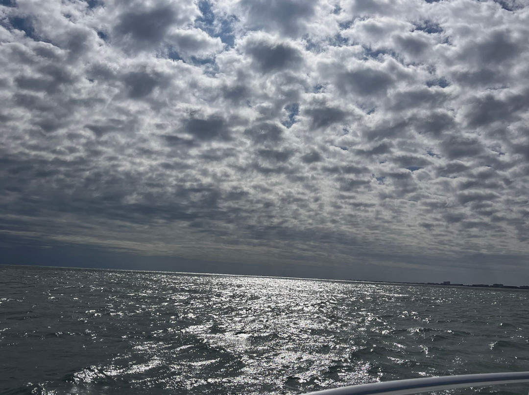Cocoa Beach Parasail景点图片