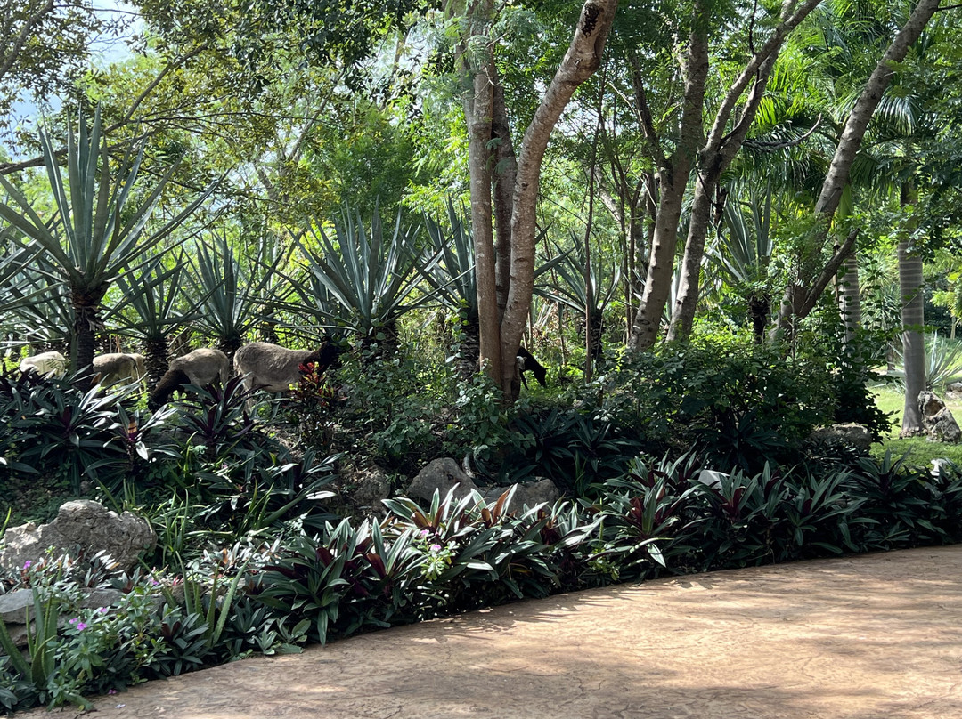 Hacienda Viva Sotuta De Peon主图