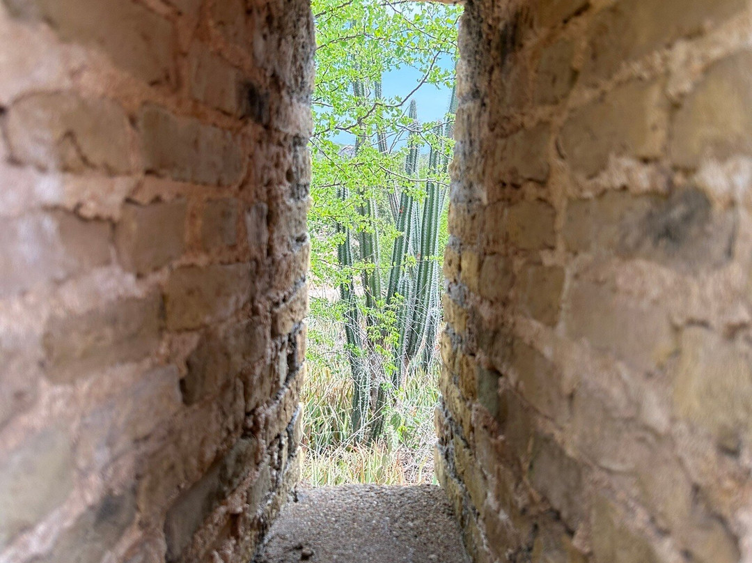 Fort Beekenburg-威廉斯塔德必去景点
