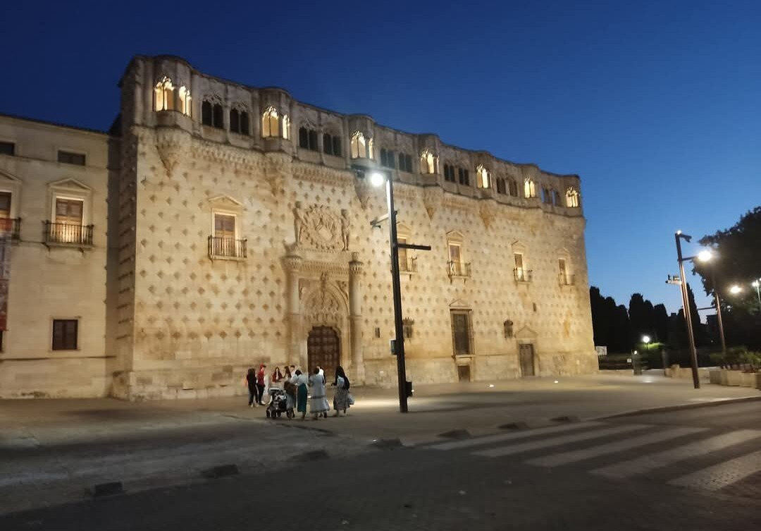 Palacio del Infantado景点图片