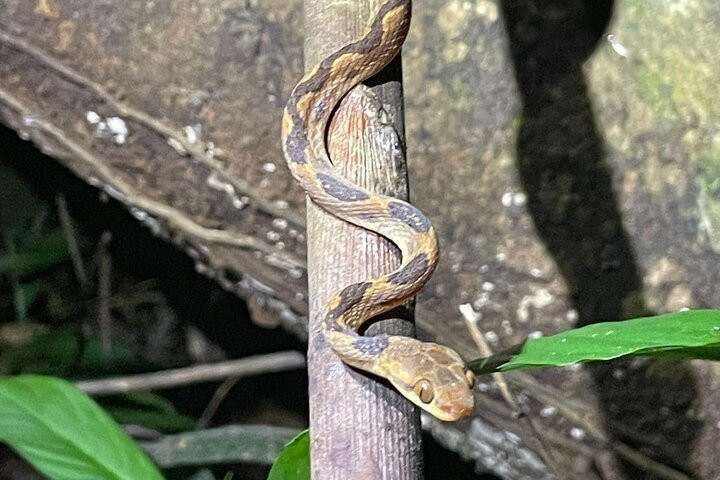 Nature Tours Costa Rica-哥斯达黎加安东尼奥国家公园必去景点