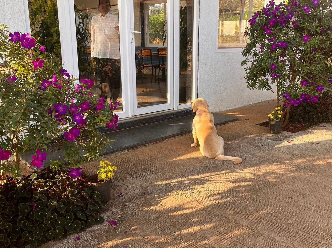 Hotel Amora Premium主图