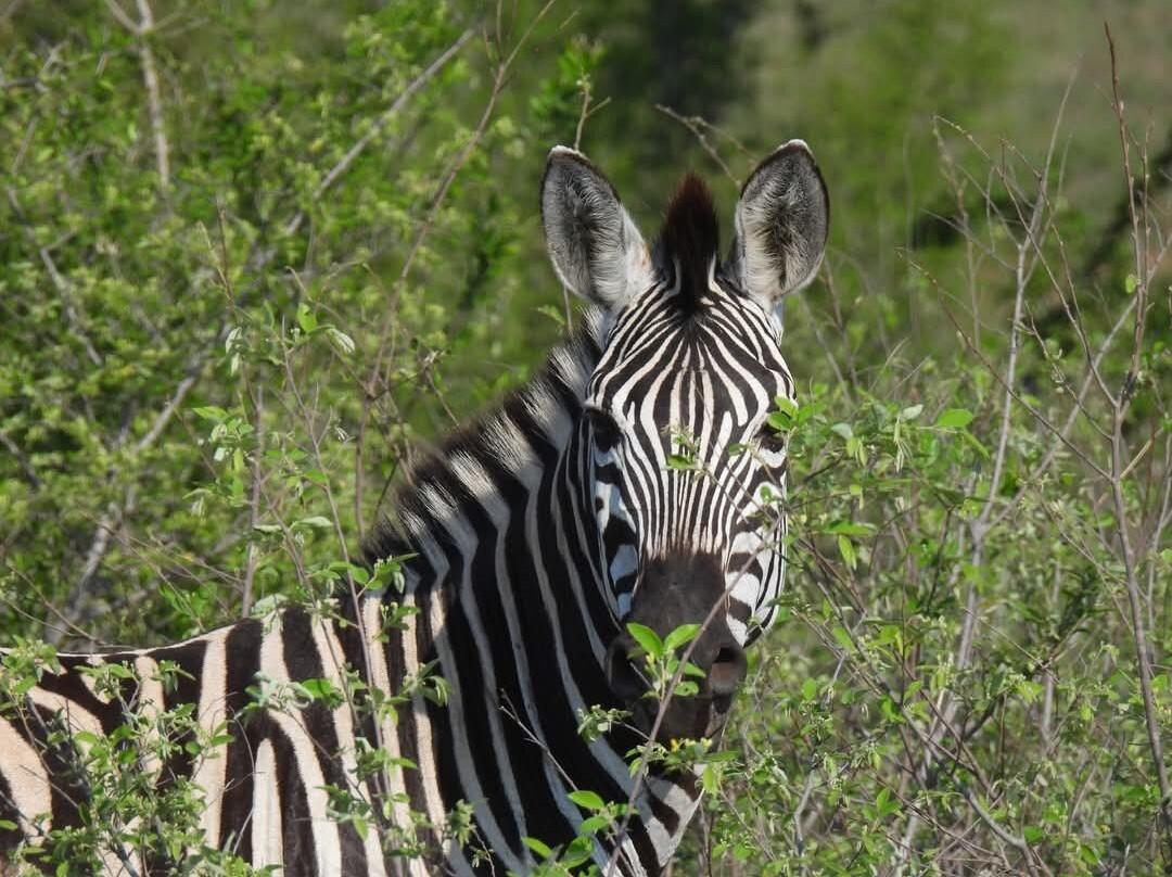 Abigail Safaris Limited-Bukoto必去景点