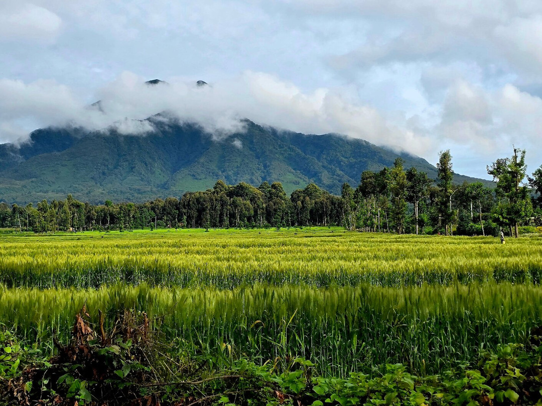 Katsam Adventures-吉佳利必去景点
