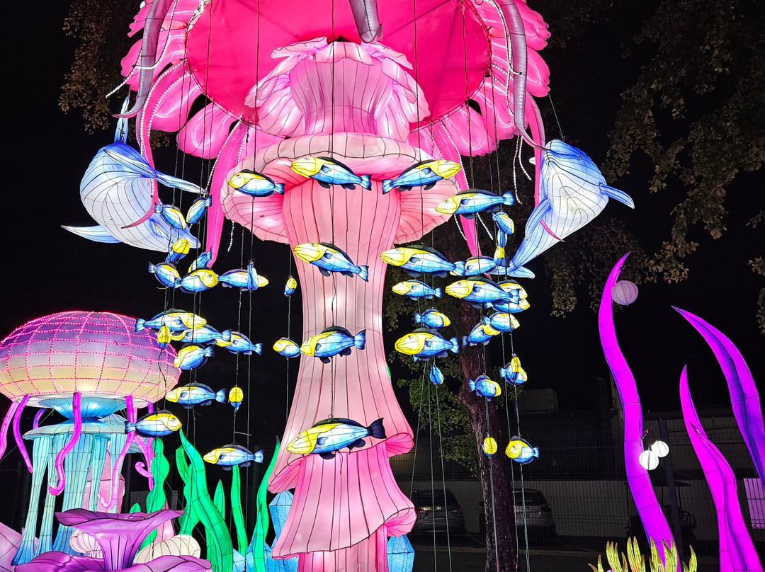 Parque De Las Ciencias By Toro Verde Power By Claro-Bayamon必去景点