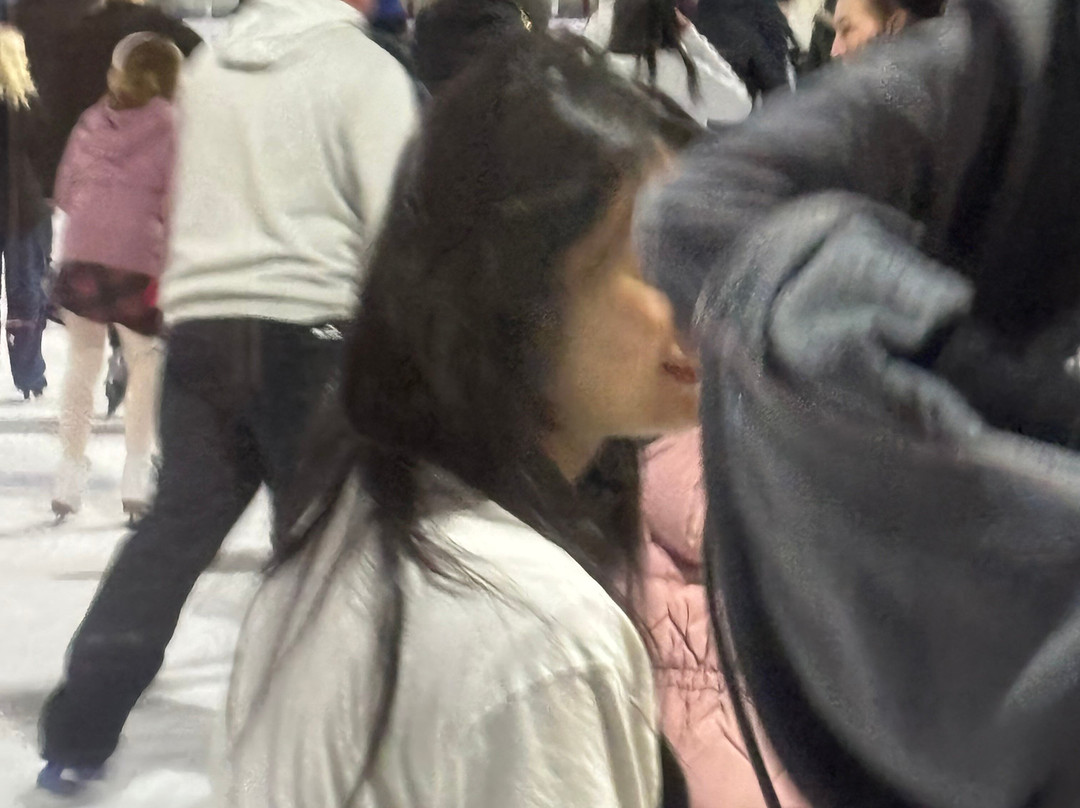 Planet Ice Altrincham (Silver Blades)景点图片