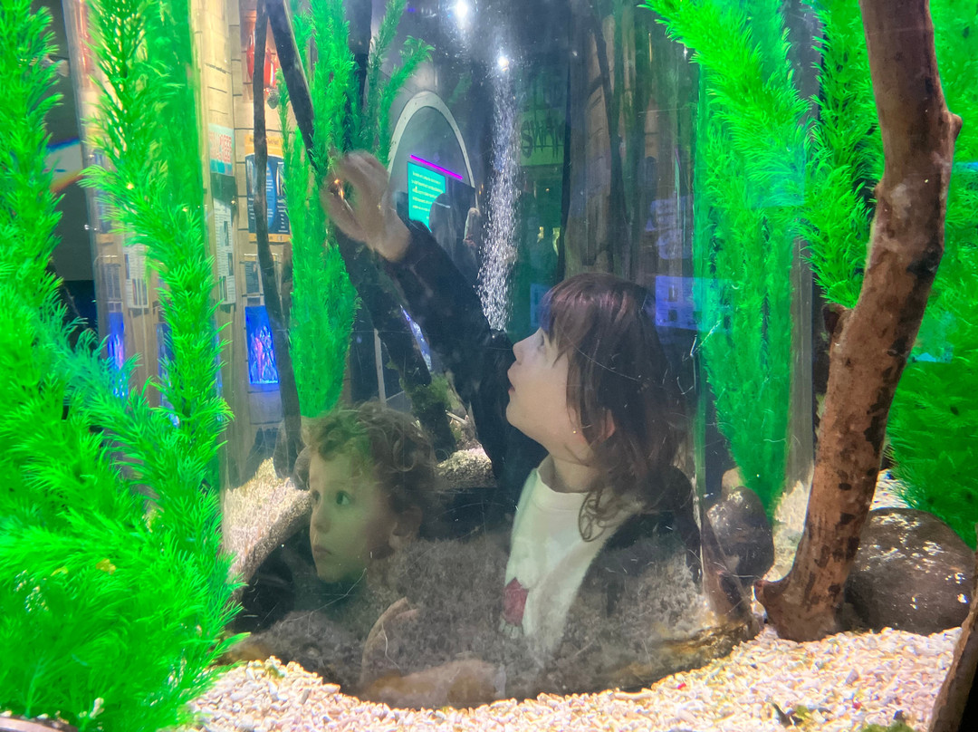 Deep Sea World-北昆斯费里必去景点