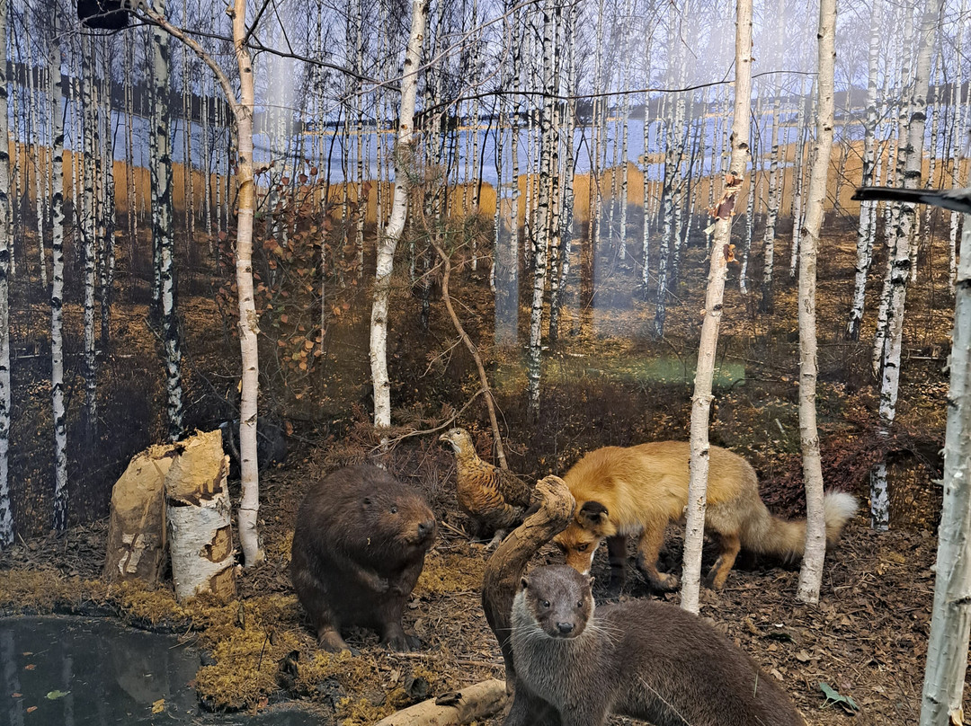 Ice Age Centre-塔尔图必去景点