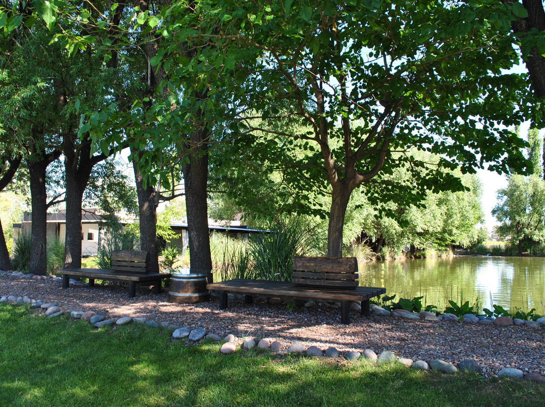 Huarpe Riglos Family Wines-阿格雷洛必去景点