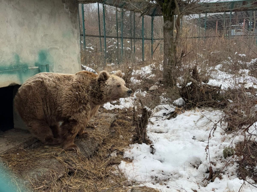 Dachigam Wildlife Sanctuary-斯利那加必去景点