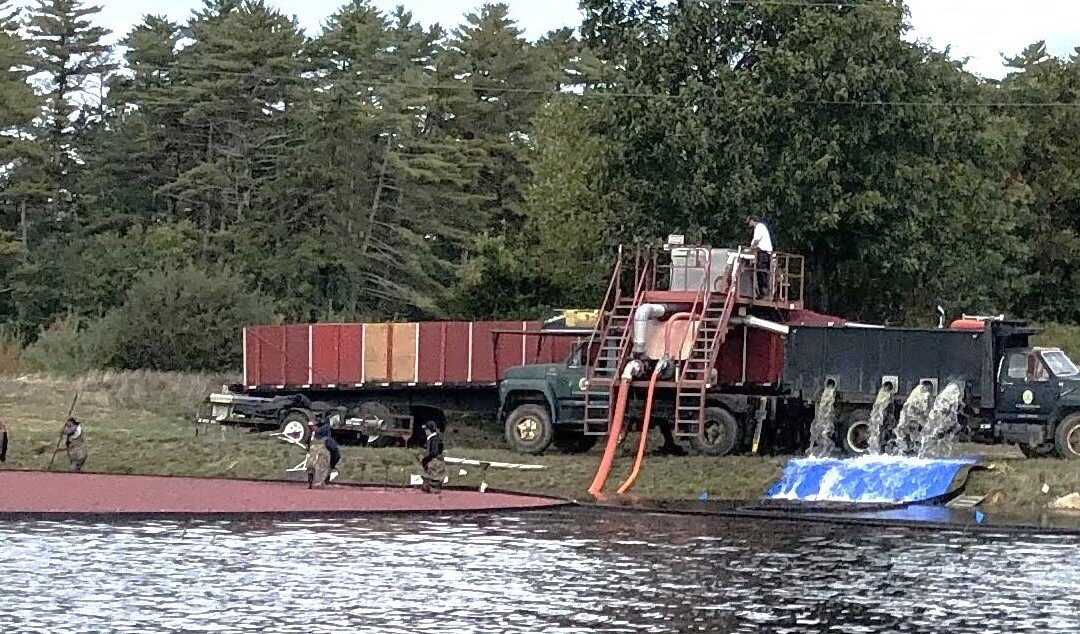 Benson's Pond Cranberry Family Farm-Middleboro必去景点