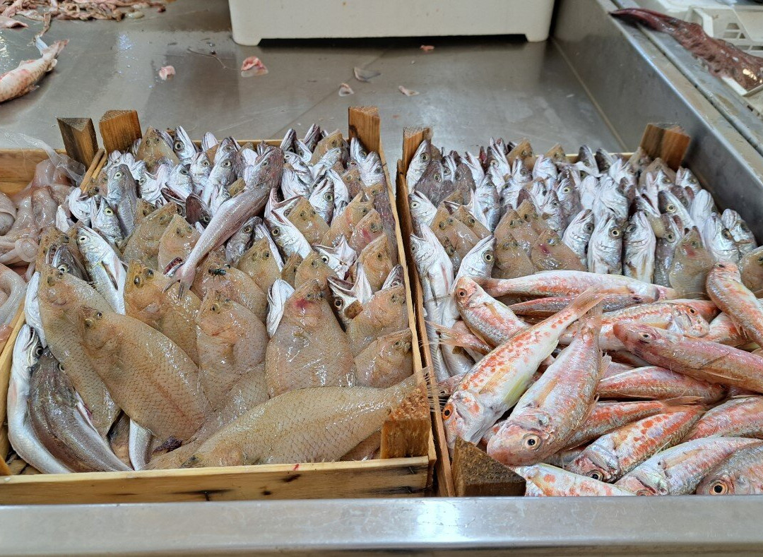 Mercato del Pesce di Trapani-特拉帕尼省必去景点