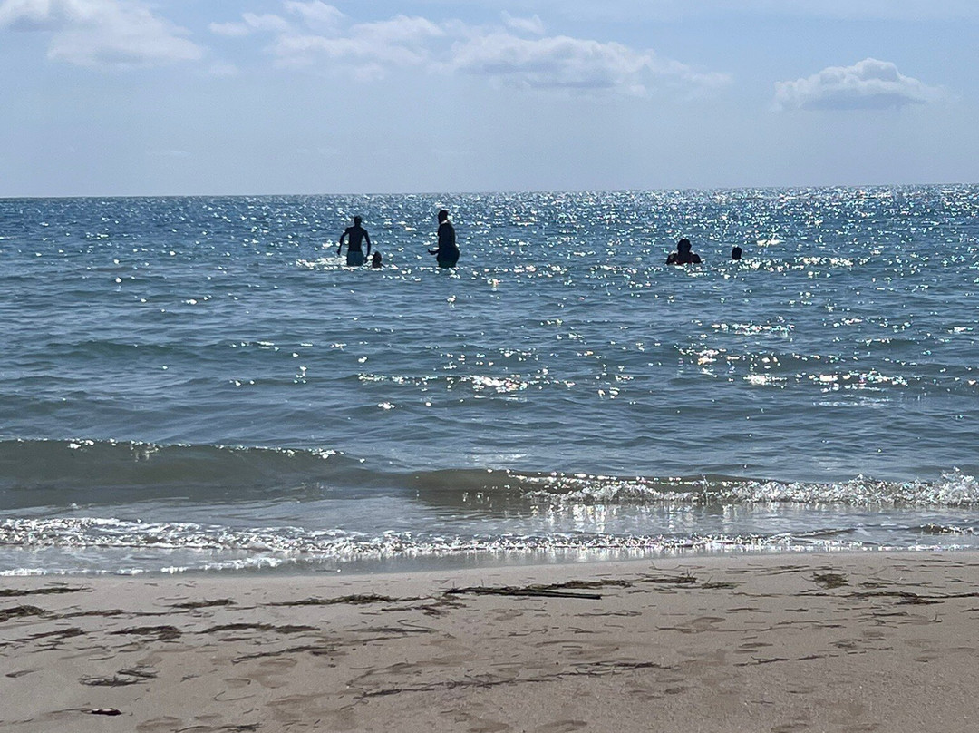 Lyssons Beach景点图片