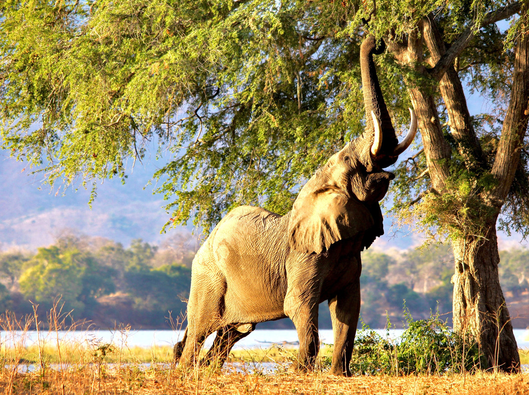Africa's Best Adventures景点图片