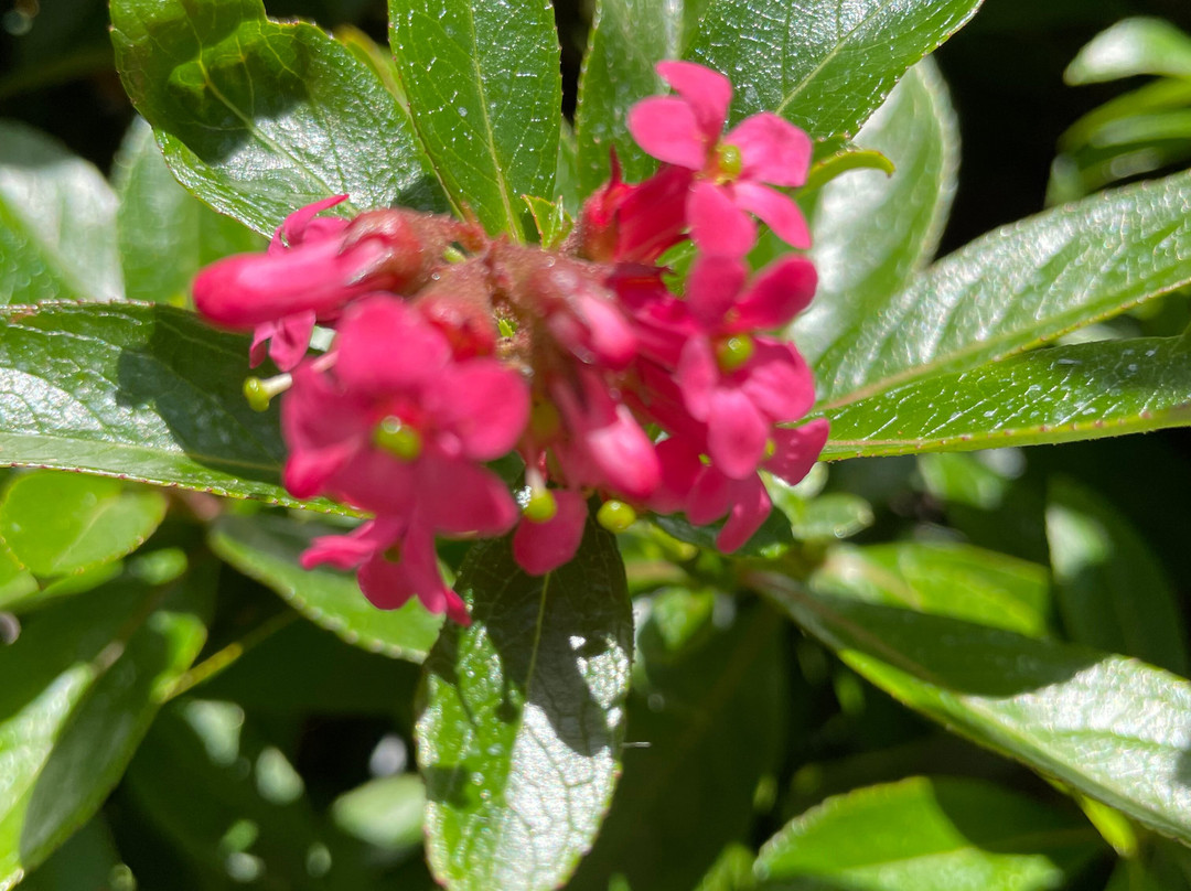 St. Stephen's Lutheran Church-Darnum必去景点