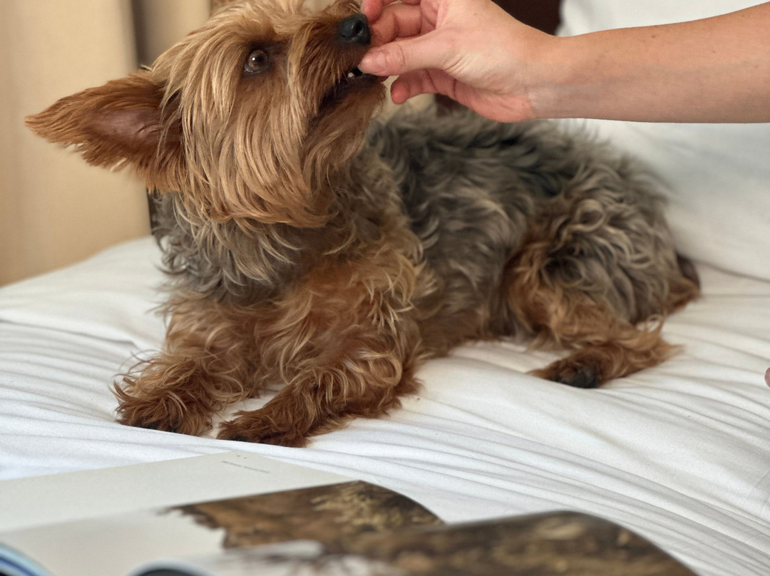 La Quinta by Wyndham Quito主图