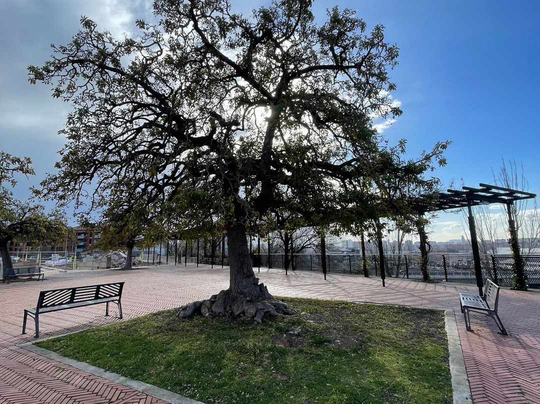 Parc del Molinet景点图片