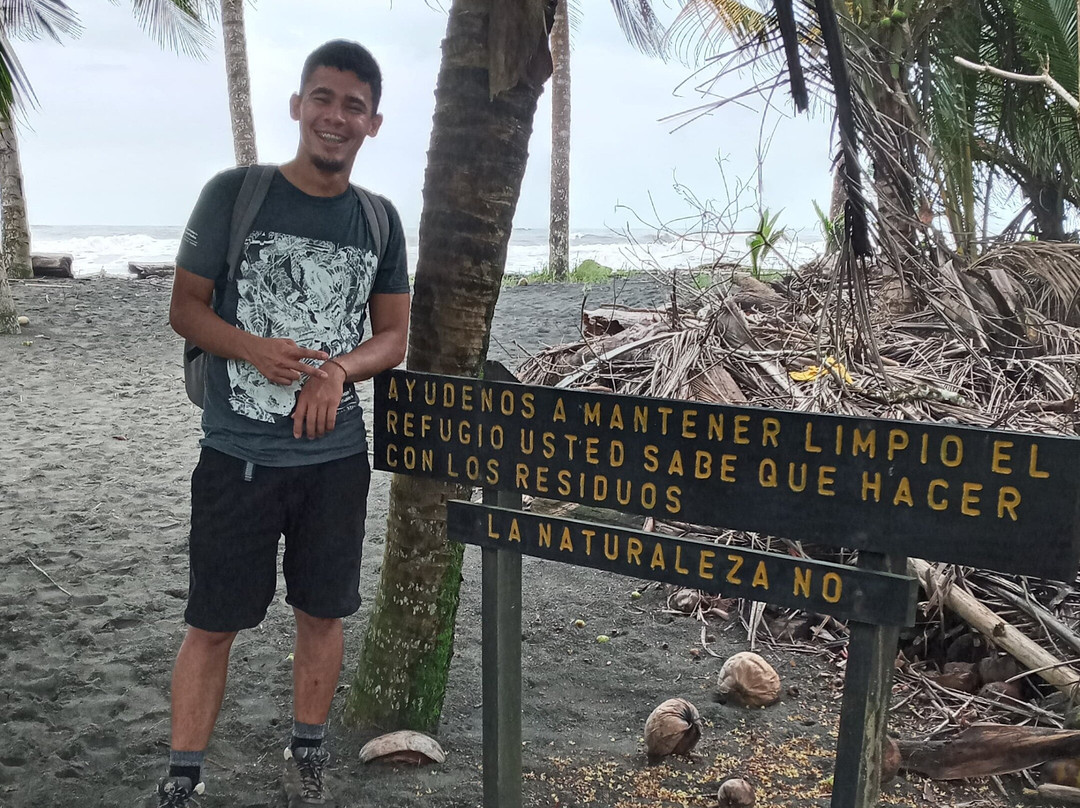Ara Indómita