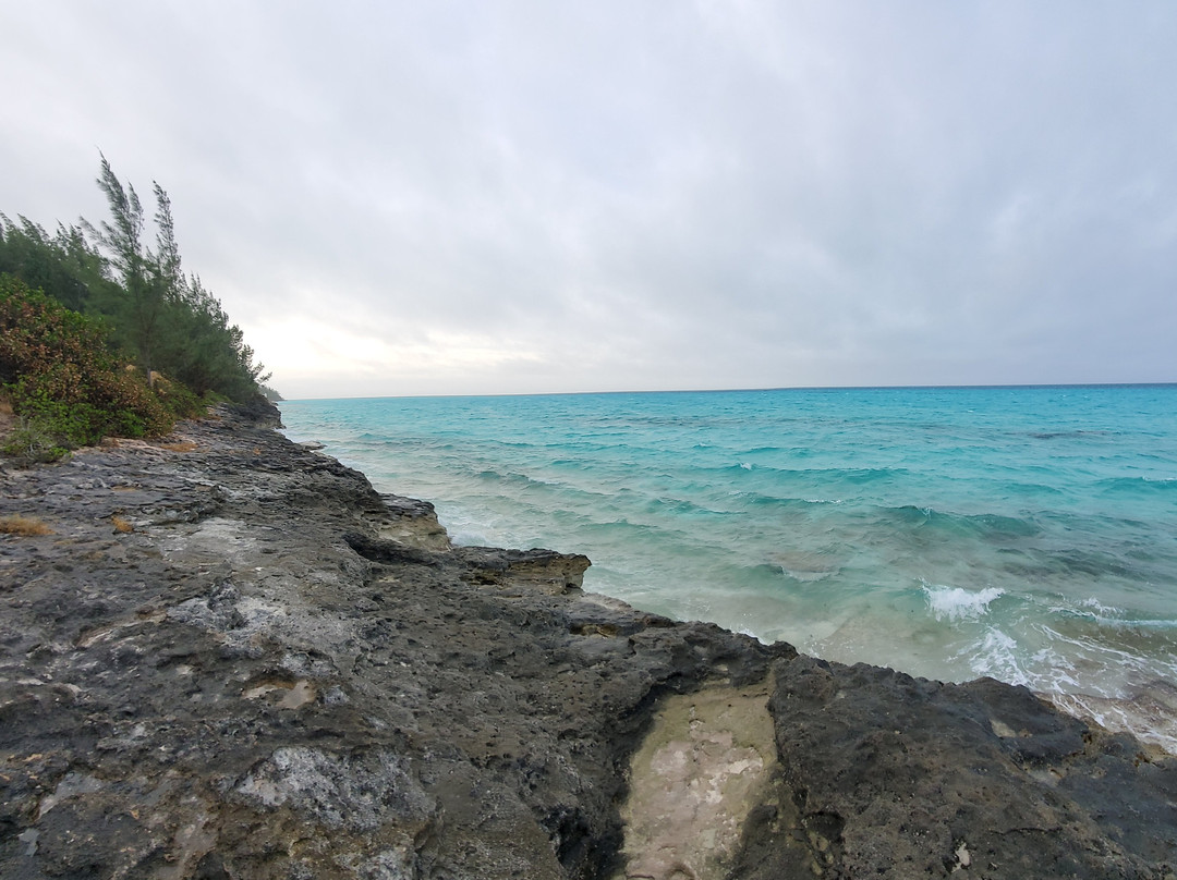 Winsome Transport-Warwick Parish必去景点