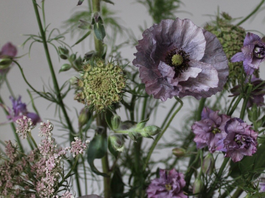 Ink And Earth Studio Florist Shop-切斯特菲尔德必去景点