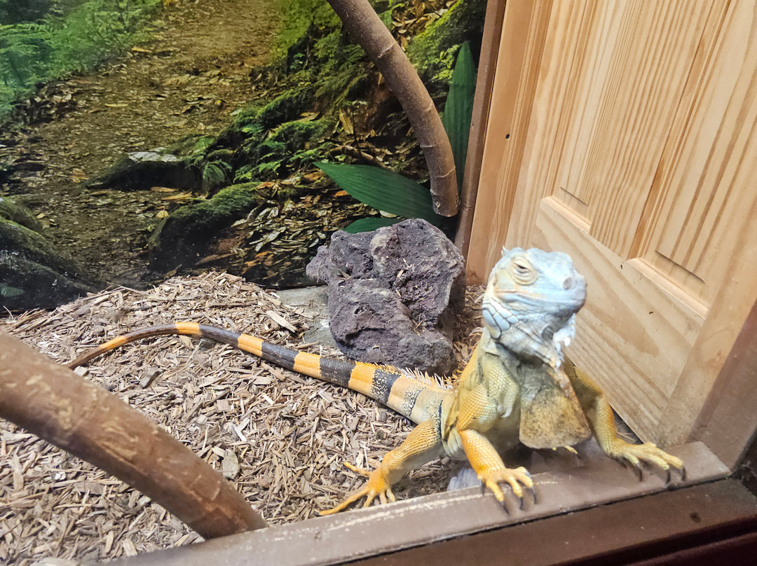 Branson's Wild World-布兰森必去景点