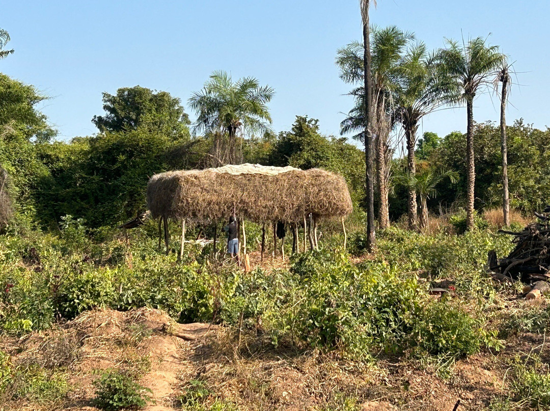 Casamance Circuits Et Excursions景点图片