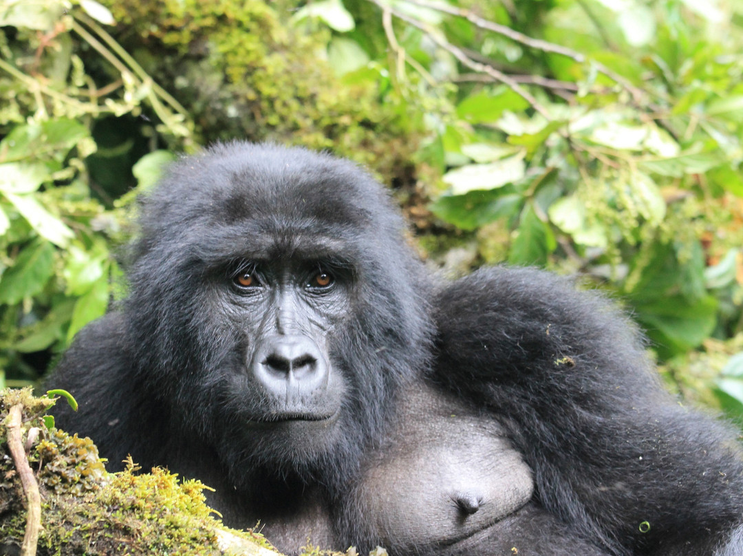 Katsam Adventures-吉佳利必去景点