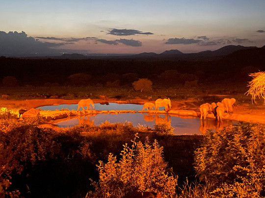 Sunday Best Safaris-蒙巴萨必去景点