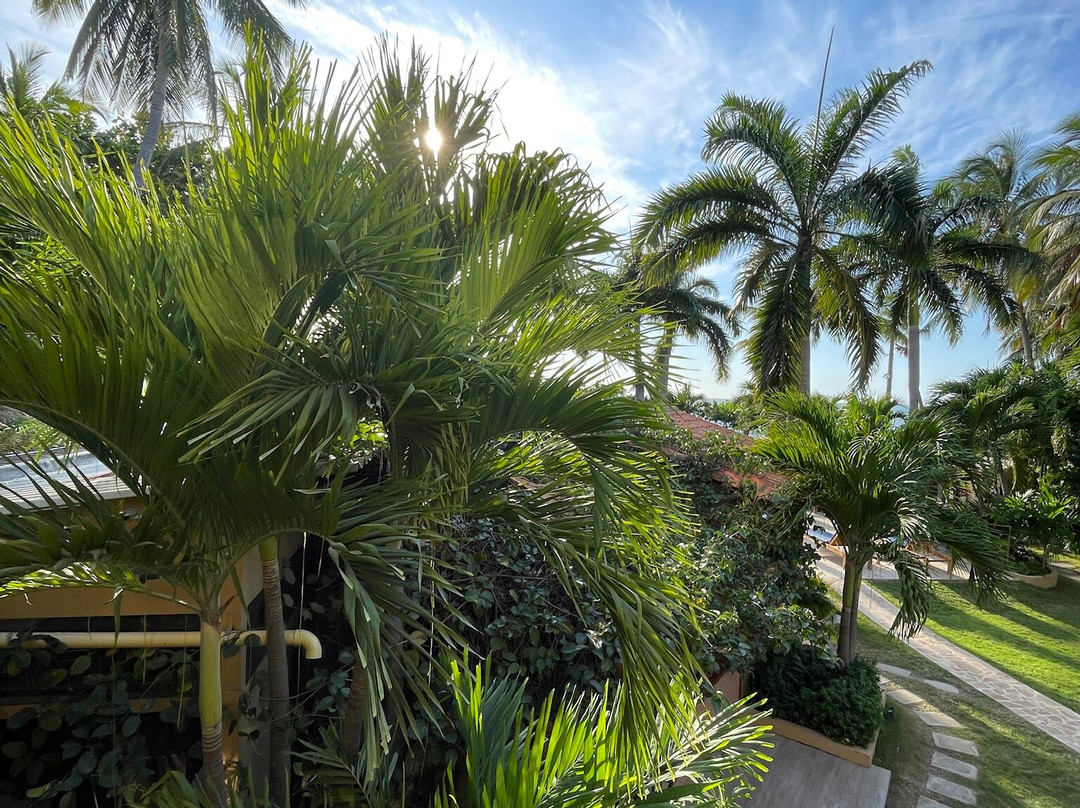 Casa Verano Hotel Boutique主图