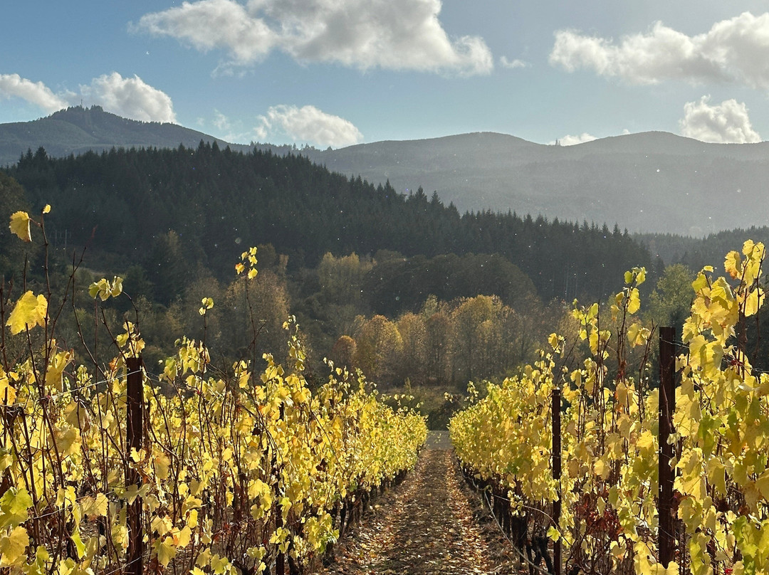 Lonesome Rock Estate Wines景点图片