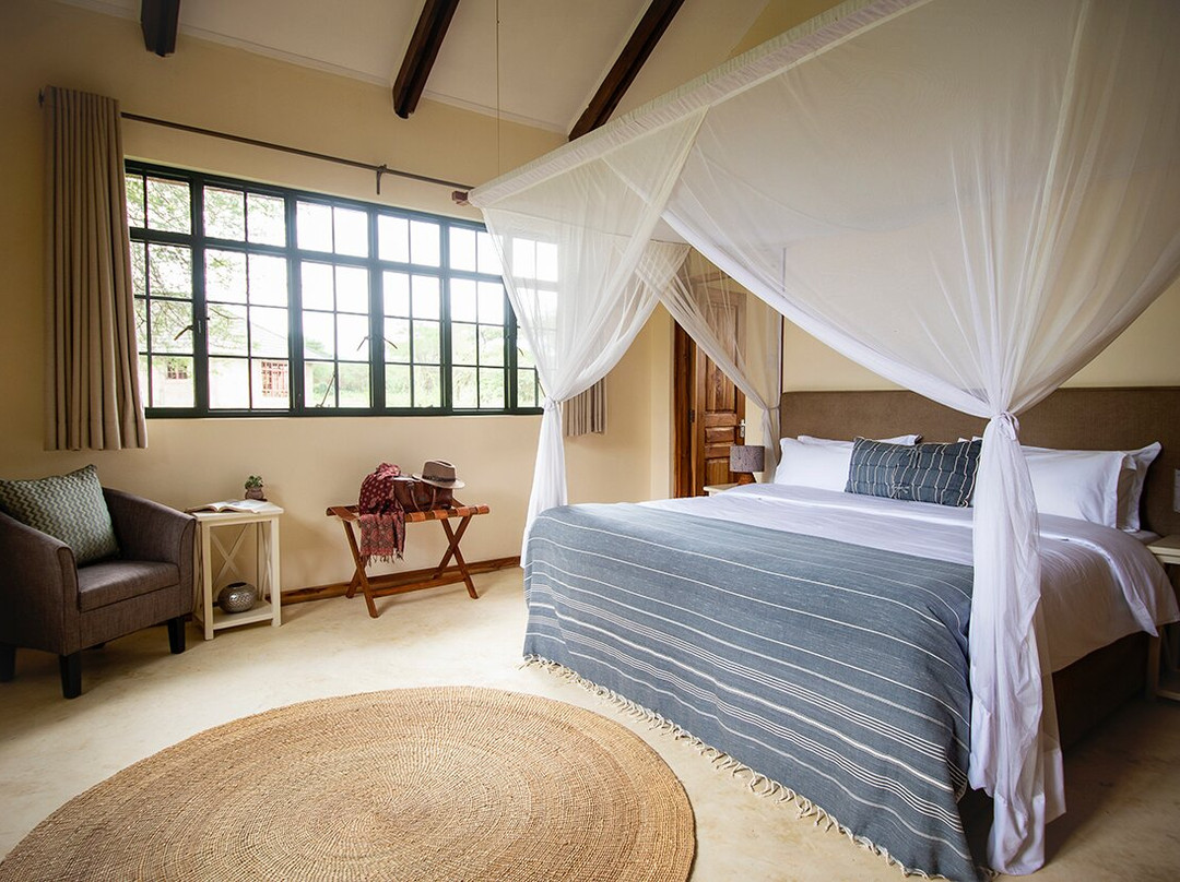 The Green Side主图