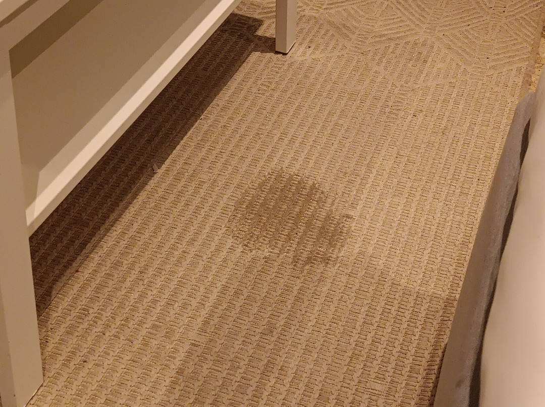 圖洛特飯店主图