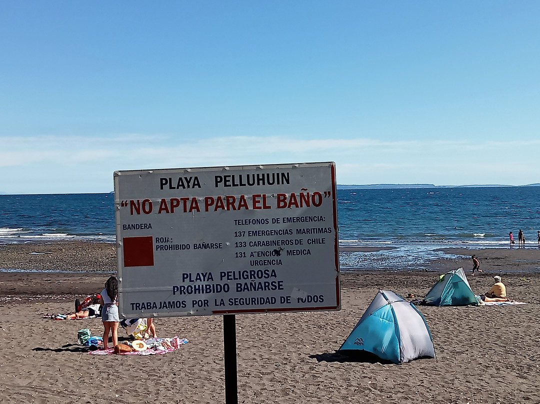 Playa Pelluhuin-蒙特港必去景点