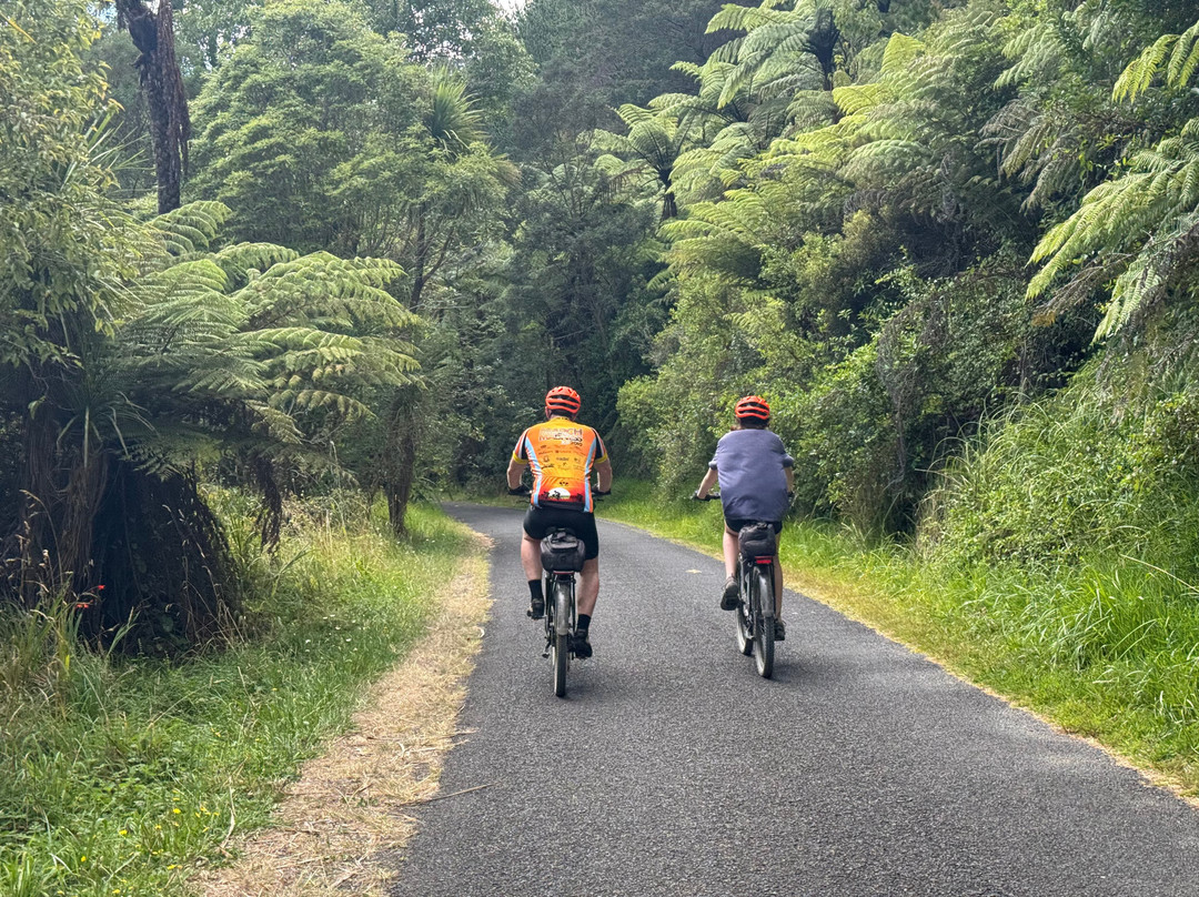Shorebird Cycles-Kaiaua必去景点