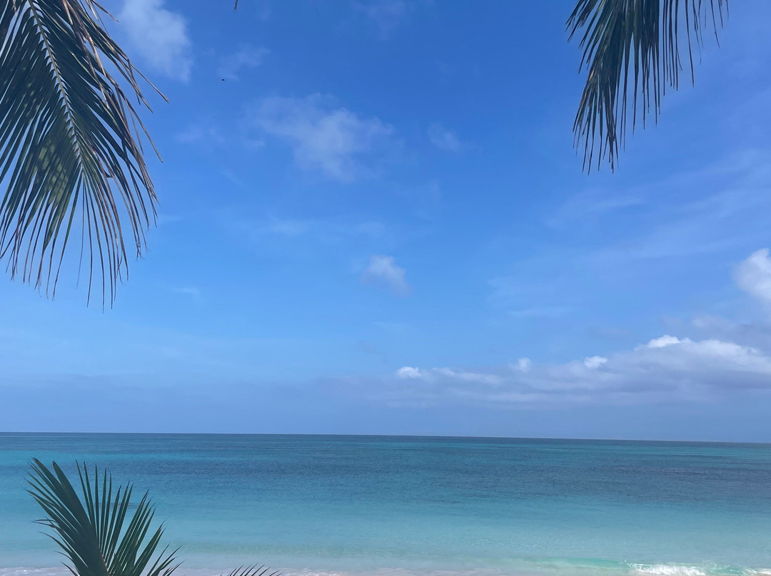 Eleuthera Retreat - Villa & Cottages on Pink Sand Beachfront