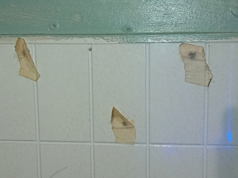 Skyline Motel By Oyo Waynesboro Us 250