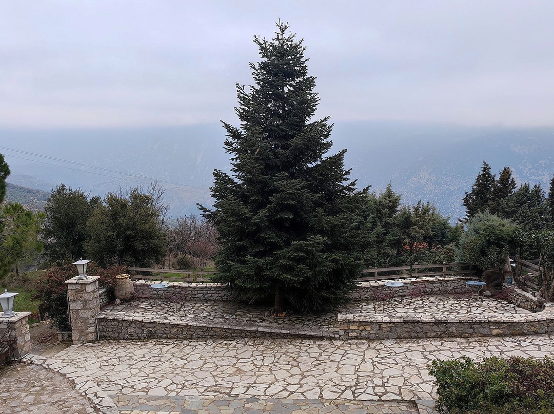 Guesthouse Mylona主图