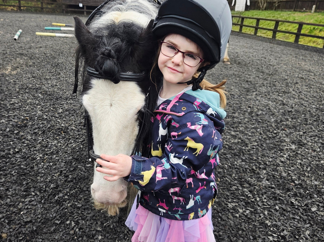 Polegate Equestrian Centre景点图片