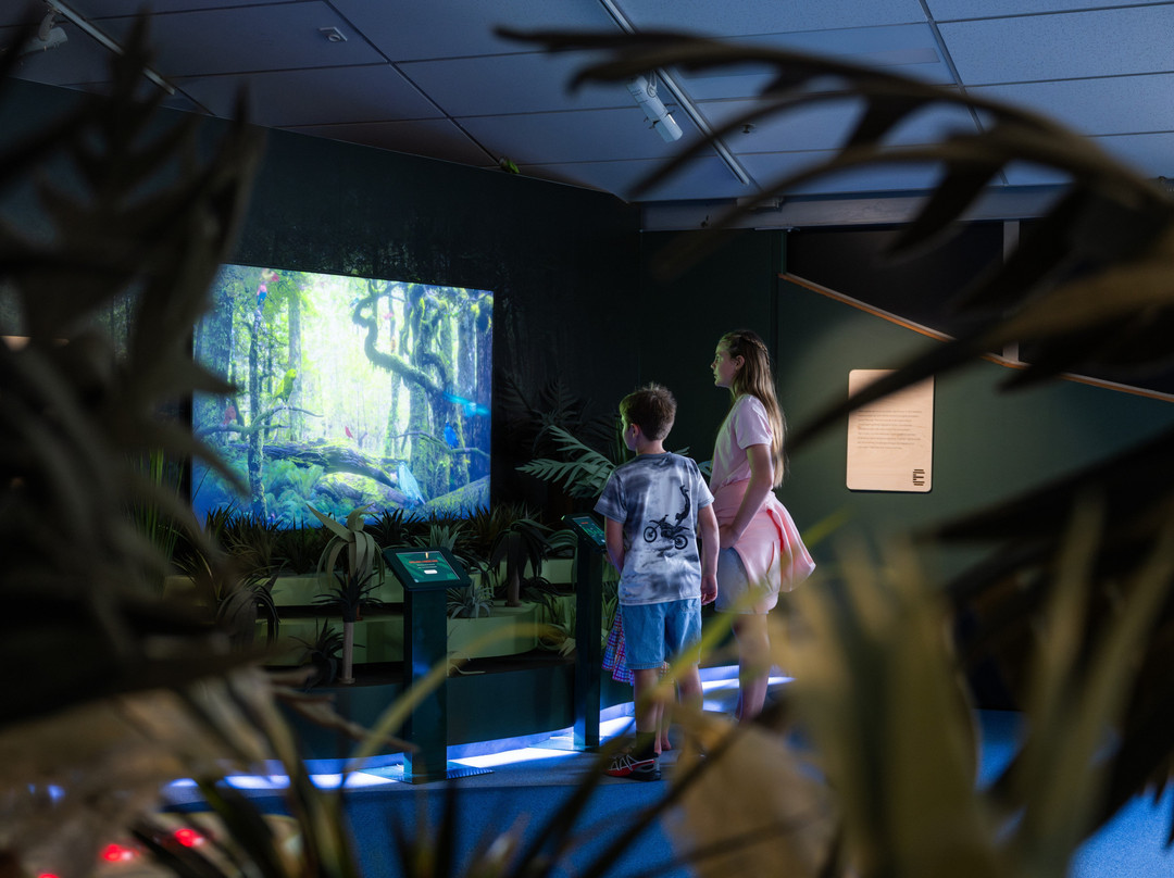 Te Whare Taonga O Waikato Museum & Gallery-汉密尔顿必去景点