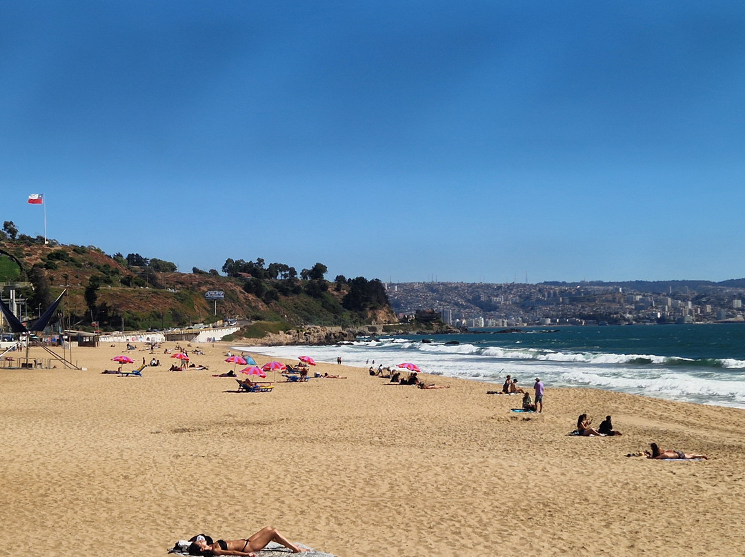 Avenida Peru-比尼亚德尔马必去景点