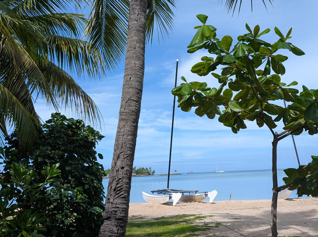 Epic Transfer and Tours Fiji-纳迪市必去景点